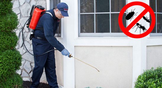 Menteşe Bit İlaçlama böcek ilaçlama ve haşere kontrolü — ilaclama-tr.com